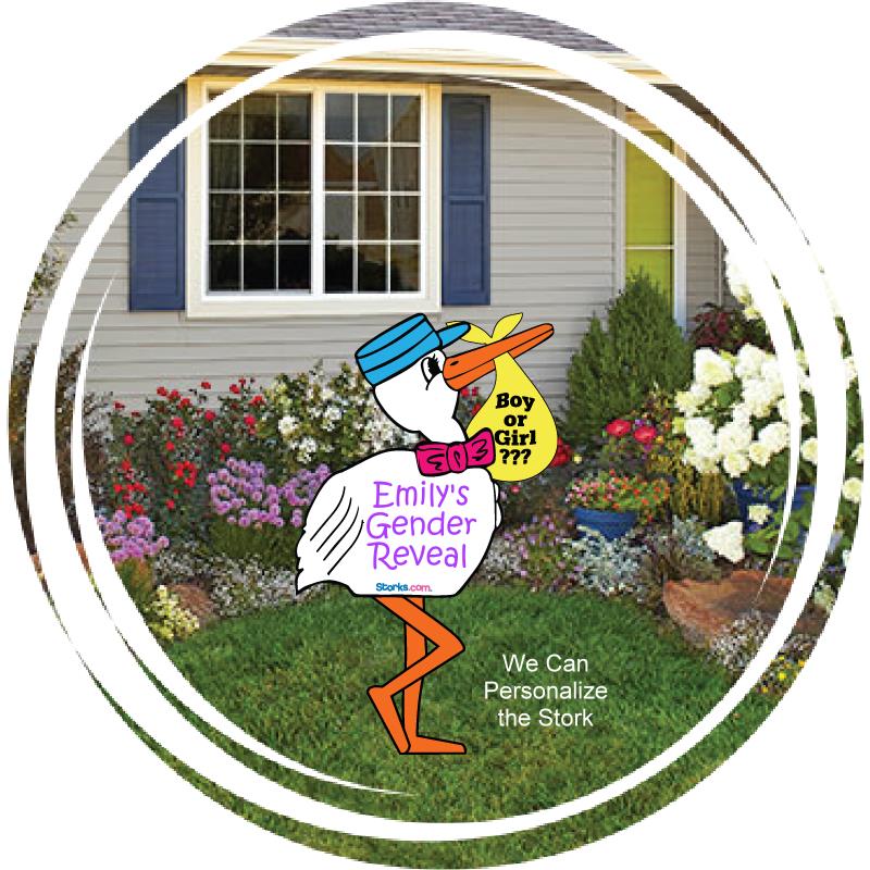 Gender Reveal Stork Sign Package
