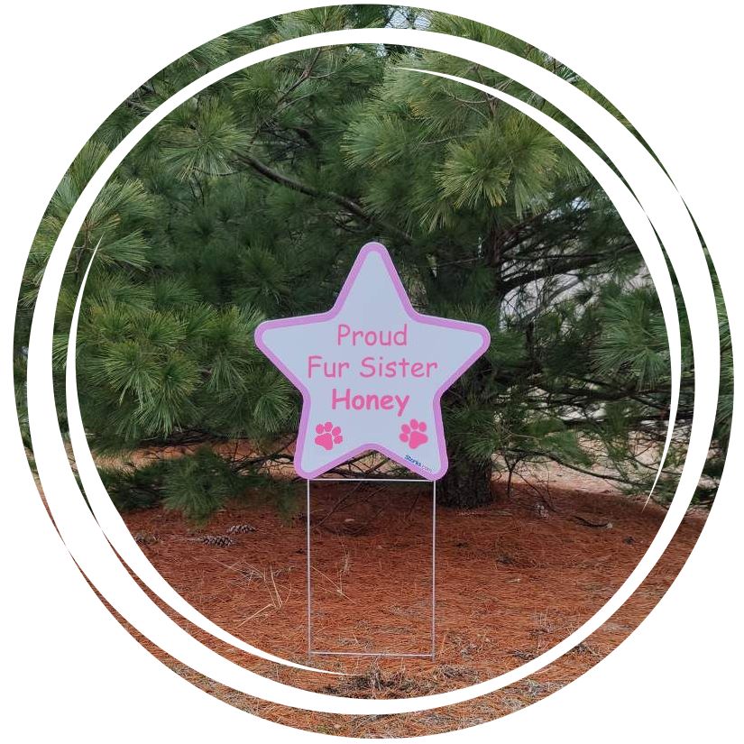 Star Sign for Fur Sister